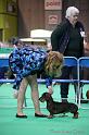 Crufts2011_2 838